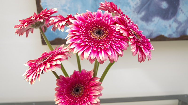 feelinglifeyoga_retreat_decoration